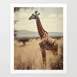 Giraffe in the Tall Grass Art Print