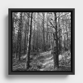 Scottish Highlands Black and White Nature Path Framed Canvas