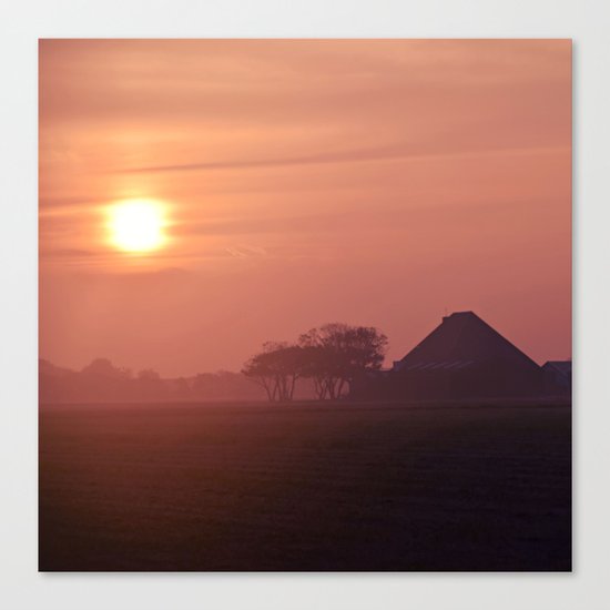 Morning activity #5 Canvas Print