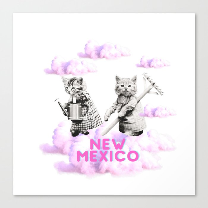 New mexico Canvas Print