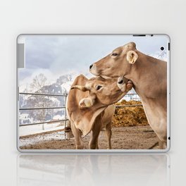Two Brown Swiss Cows Caressing One Laptop Skin