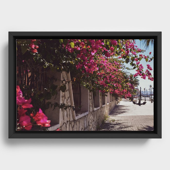 Framed Canvas