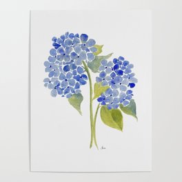 Blue Gouache Hydrangea Poster