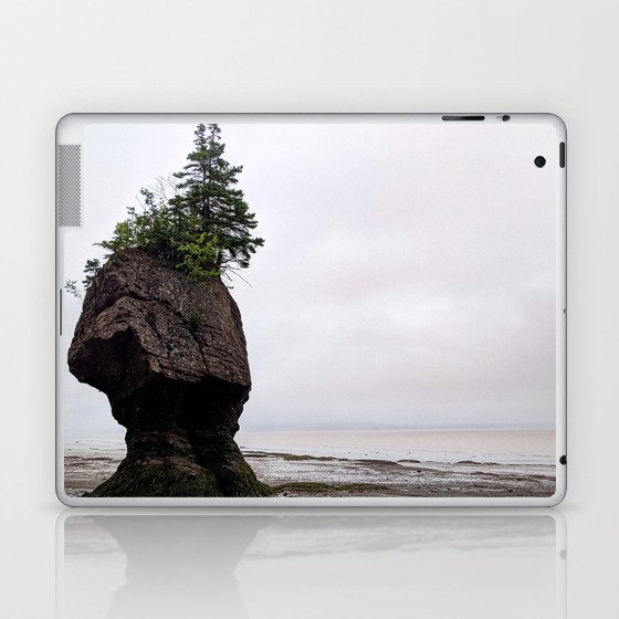 Bay of Fundy Fog Laptop & iPad Skin