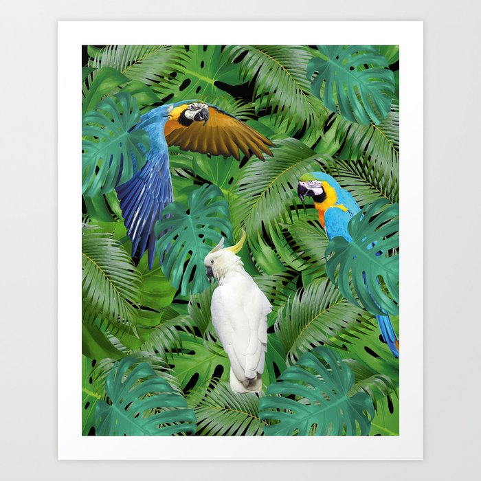 Jungle Leaves Monstera Palm Macaw cockatoo Birds #jungle Art Print