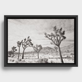 Joshua Tree Park by CREYES Framed Canvas