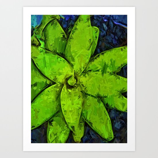 Green Agave and Dark Blue Pebbles Art Print