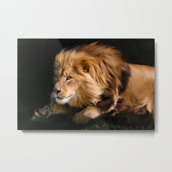 Lion Metal Print