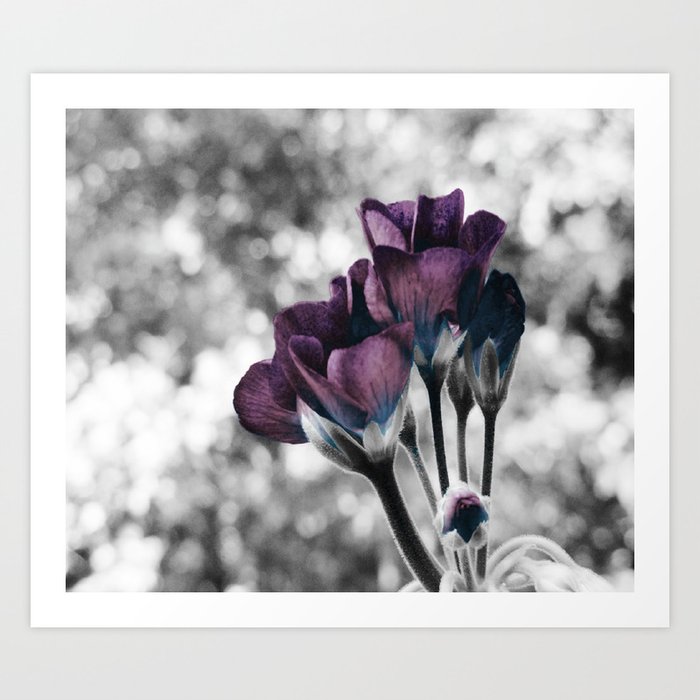 Pop of Color Flowers Muted Eggplant Teal Art Print