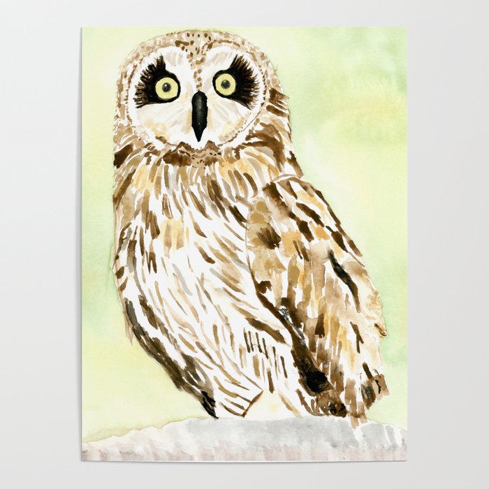 Pueo - Hawaiian Owl Poster
