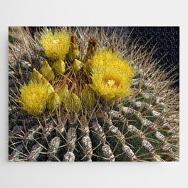 Mexico Photography - Beautiful Barrel Cactus Up-Close Jigsaw Puzzle