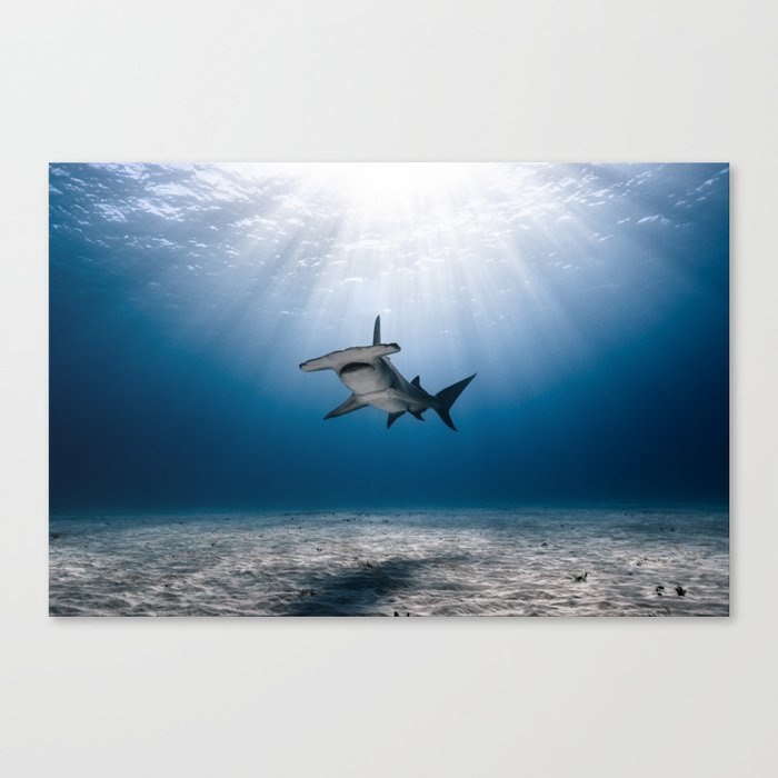 Moody Hammer Canvas Print