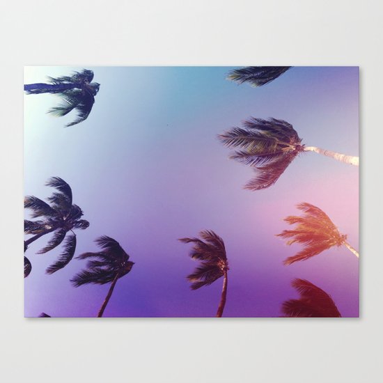 Under tall Palm trees Canvas Print