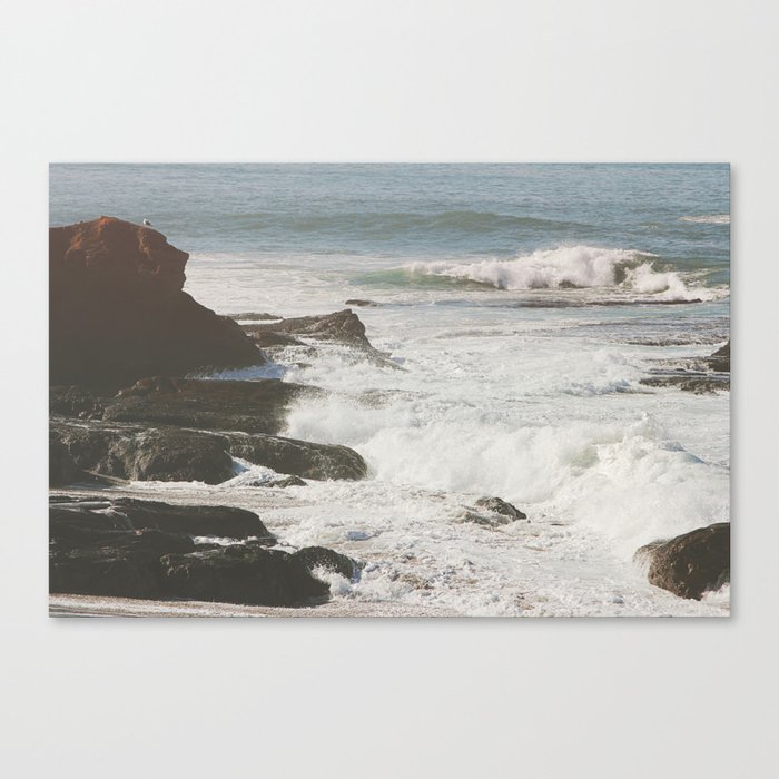 Sea Loner Canvas Print
