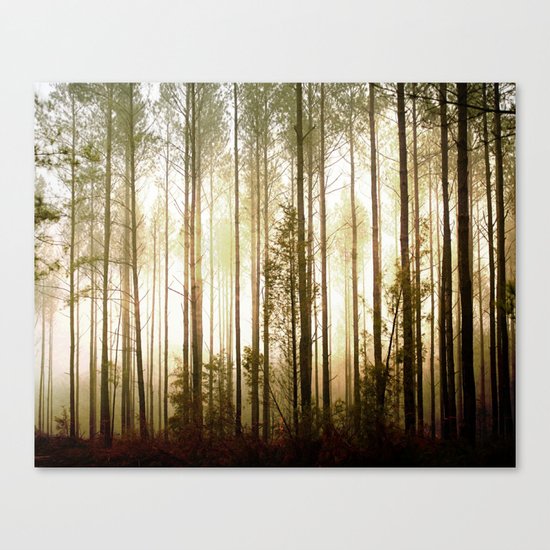 Glowing Forest Canvas Print