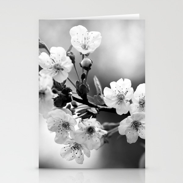 Cherry Blossom in Black and White #decor #society6 #buyart Stationery Cards