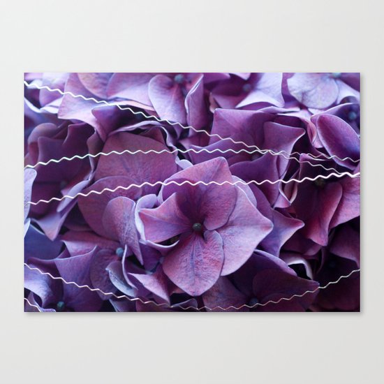 Hydrangeas #1 #Purple #art #society6 Canvas Print