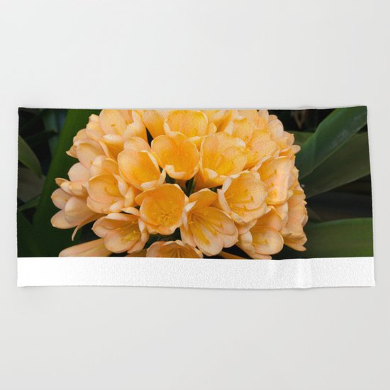 Clivia Apricot Beach Towel