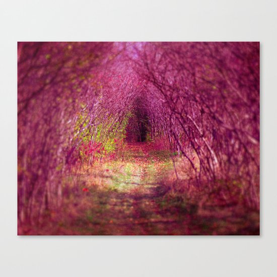 Into the Pink Canvas Print
