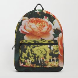 The Rose Garden Backpack | Vibrant, Flowers, Lush, Portland, Color, Vintage, Photo, Garden, Roses, Trees 