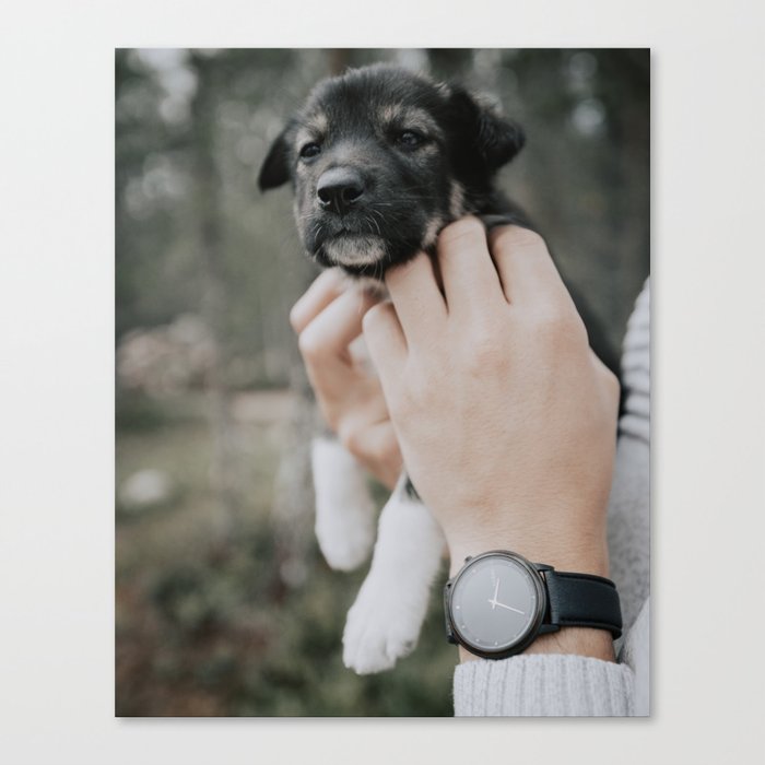 puppy love Canvas Print
