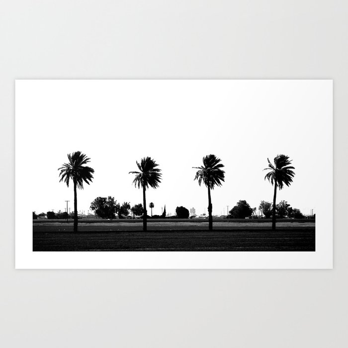 Palm Trees Four Art Print