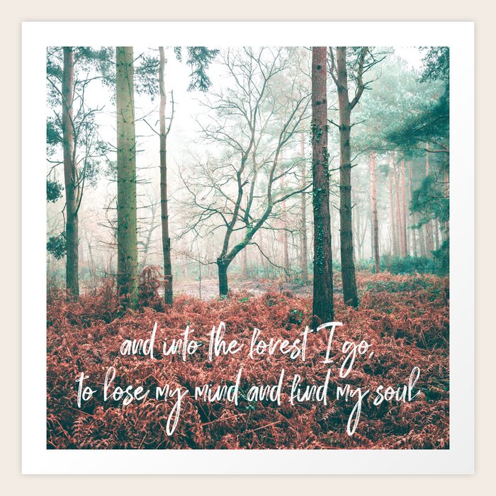And Into The Forest I Go To Lose My Mind And Find My Soul John Muir English Forest Art Print By Anthonylonder