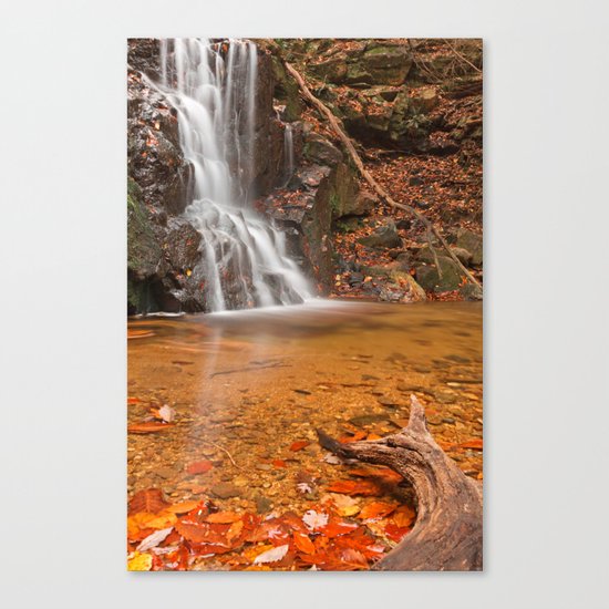 Avalon Hook Falls Canvas Print