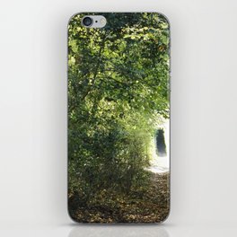 ENCHANTED TREE TUNNEL iPhone Skin