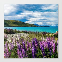 New Zealand Photography - Field Of Lupin Flowers By The Crystal Water Canvas Print