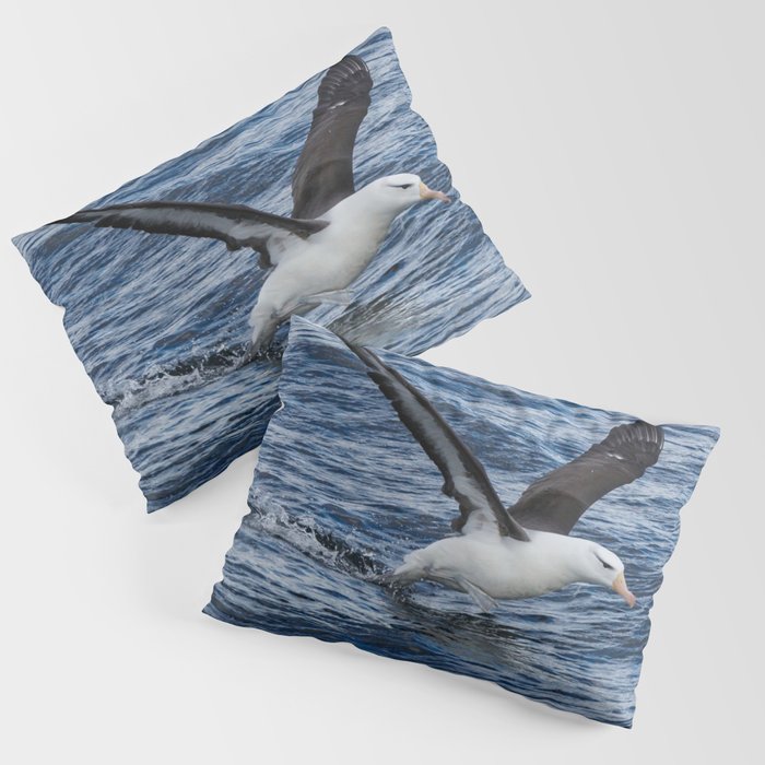 Argentina Photography - Black-browed Albatross Flying Close To The Water Pillow Sham