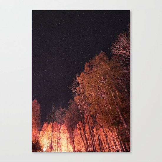 Firey woods Canvas Print