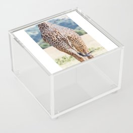 Giraffe Green Acrylic Box