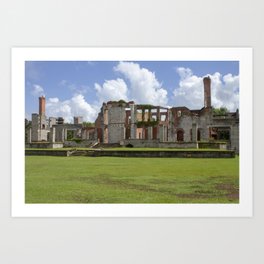 Dungeness Ruins | Cumberland Island, GA Art Print | Ruins, Color, Thecuratedsouth, Ruralamerica, Bluesky, Photo, Green, Georgia, Abandoned, Art 