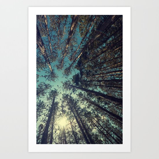 Pine Grove Art Print