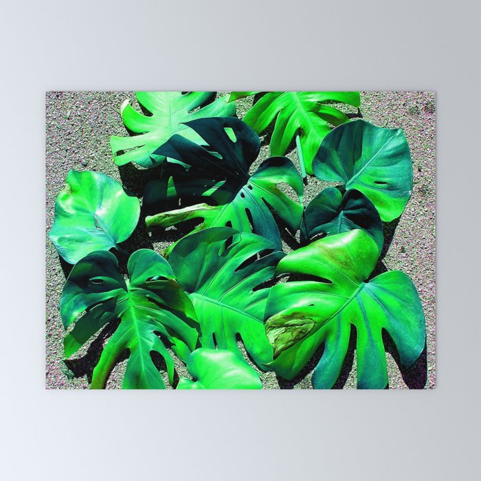 Filadendron Mini Art Print By Bitifoto Society6