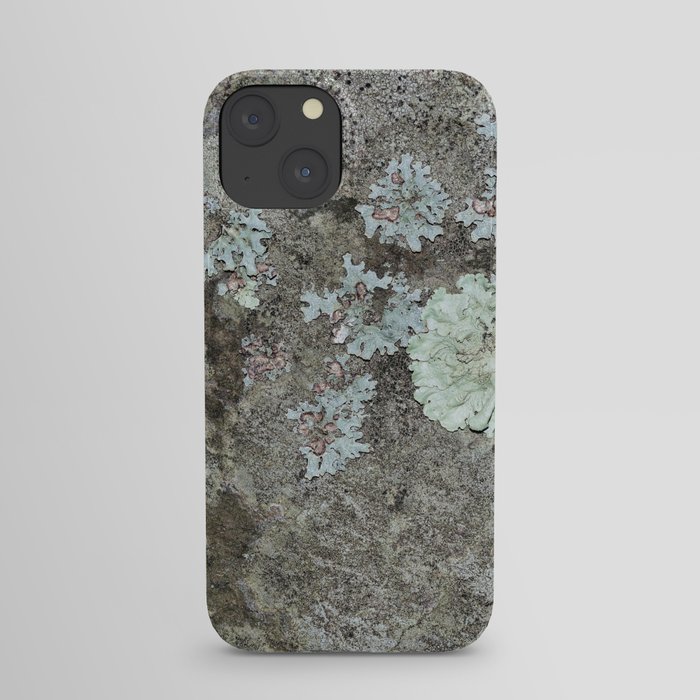 Lichen on granite iPhone Case