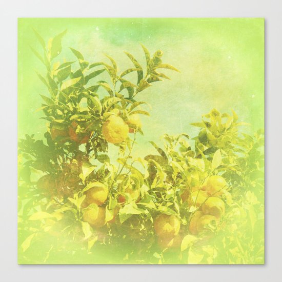 Mandarine Tree Canvas Print