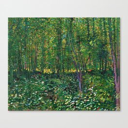Brush and Underbrush flower and forest landscape by Vincent van Gogh Canvas Print