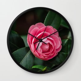 Blooming Pink Perfection Camellia Japonica Wall Clock