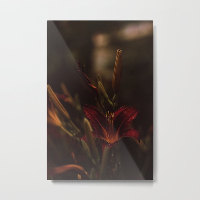 Red flower | Fine art Photography | Dark Photography | Nature Metal Print