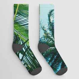 Beach Palms Socks