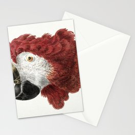 Head of a Macaw Stationery Card