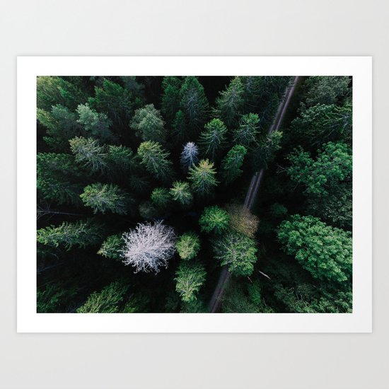 From Afar III Art Print