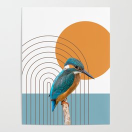 Colorful bird Poster