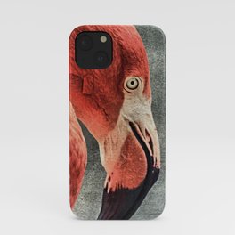 Flamingo in Literature iPhone Case
