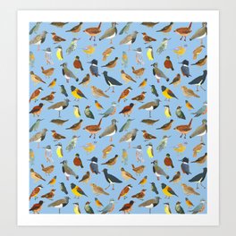 Great collection of birds illustrations in blue Art Print