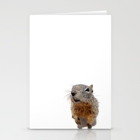 Curiosity Stationery Cards
