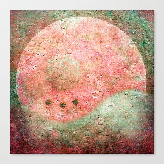 Flores De Luna Canvas Print