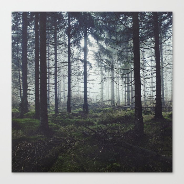Through The Trees // Fog Forest Home Canvas Print by Tordis Kayma ...
